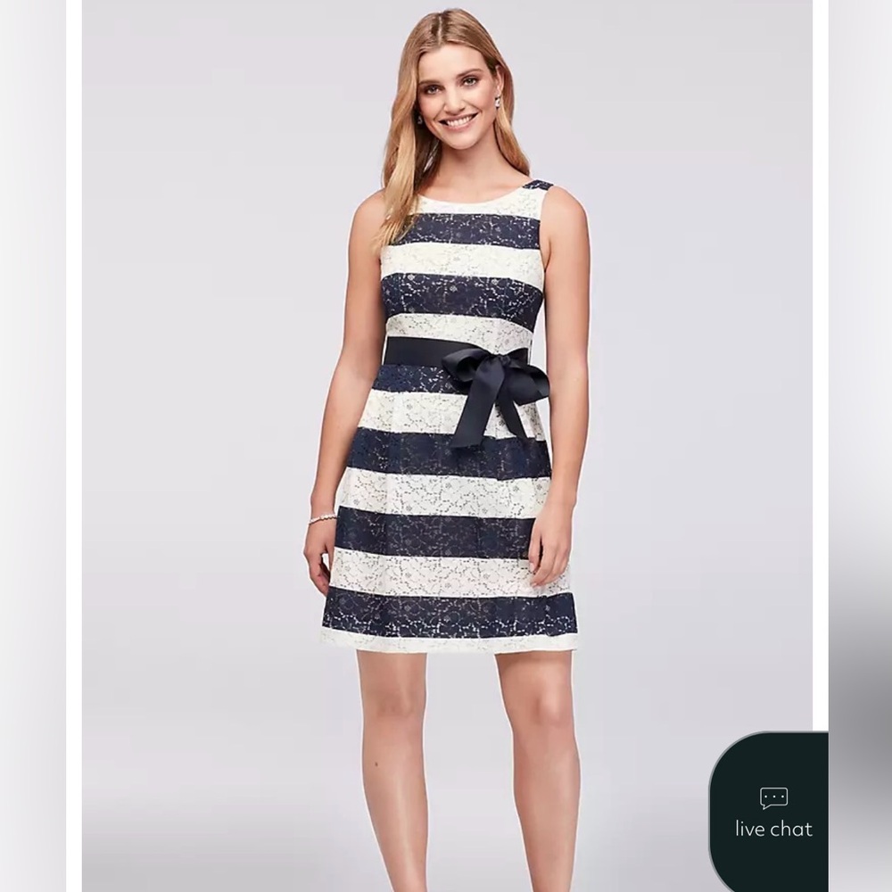 Striped Lace Fit and Flare Navy and Ivory Dress with Ribbon Sash 14